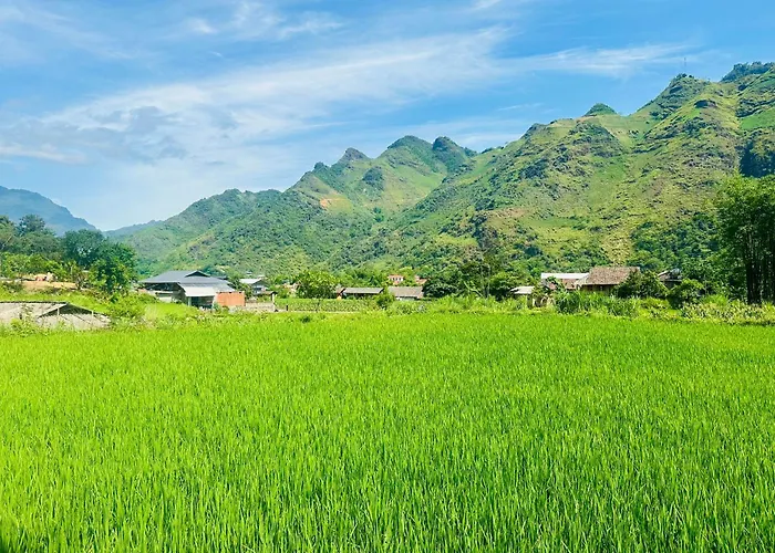 Du Gia Field View Homestay