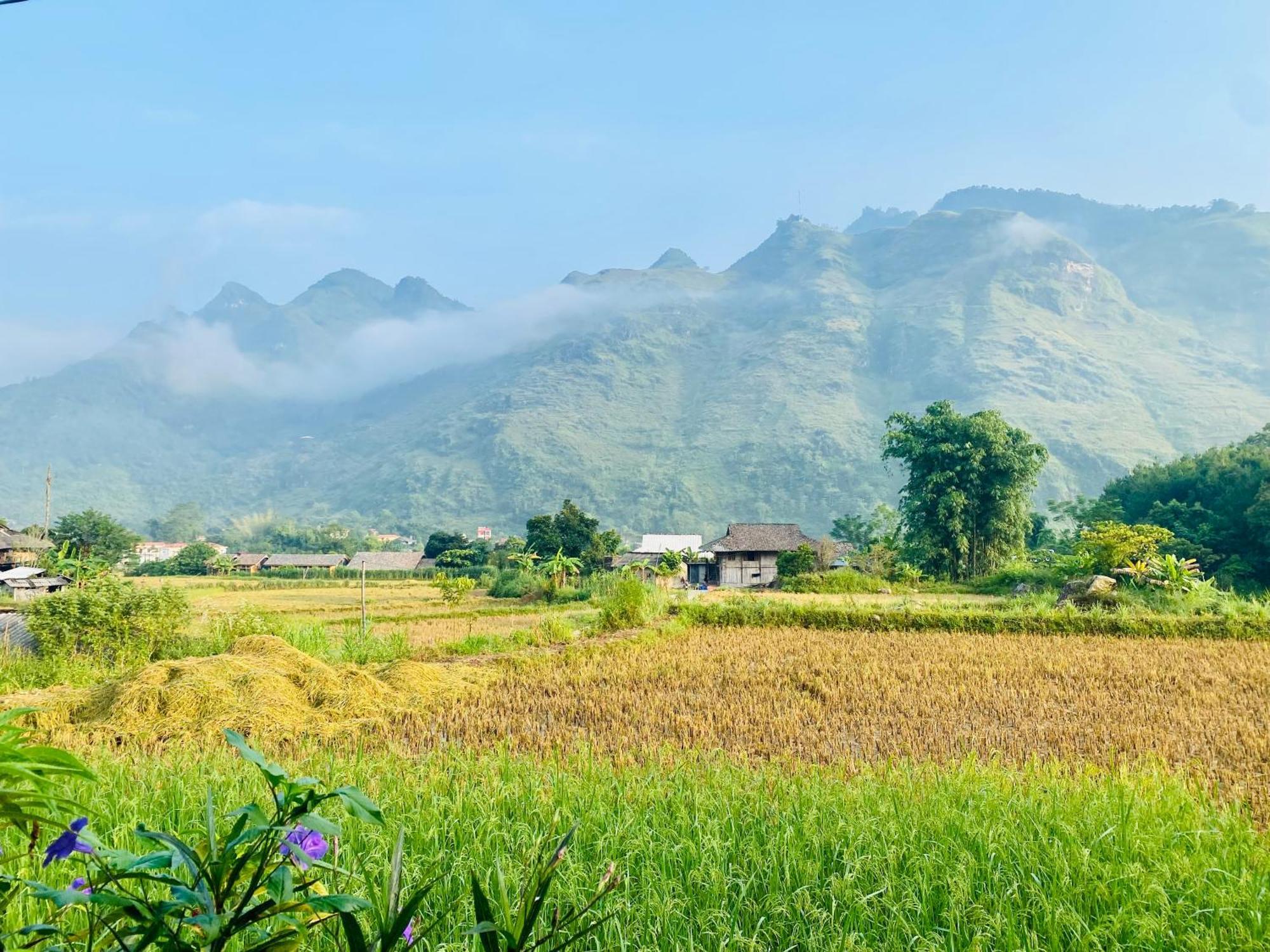 Du Gia Field View Homestay