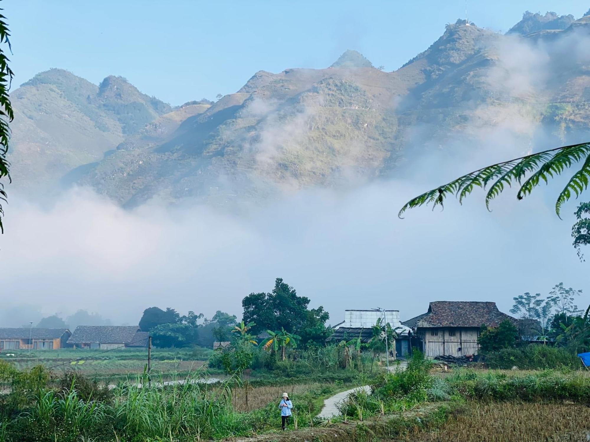 Homestay Du Gia Field View *