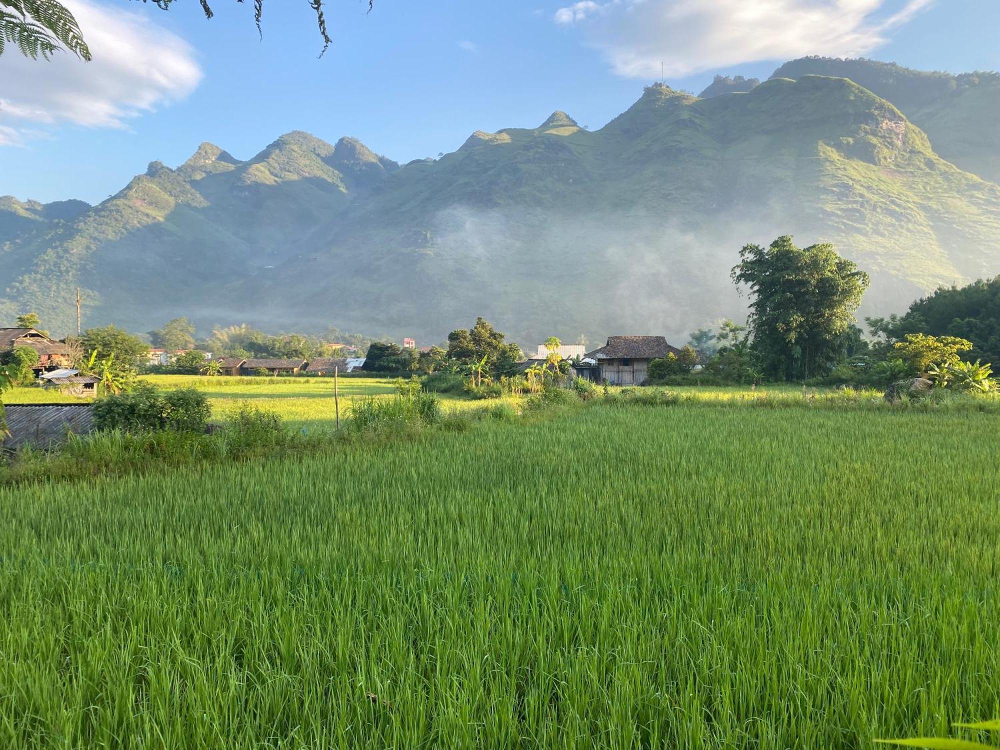 Du Gia Field View Lang Cac