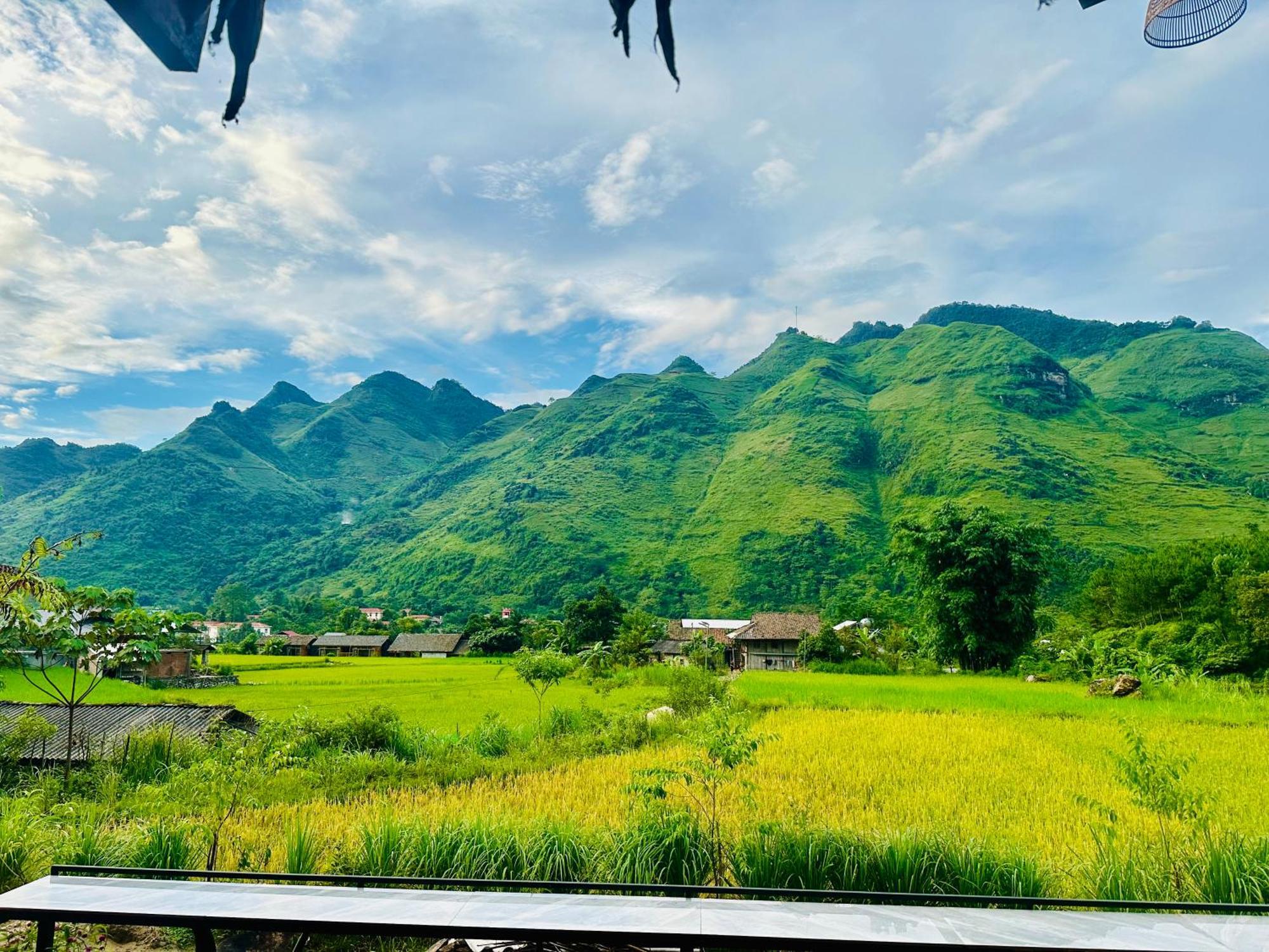 Du Gia Field View Homestay