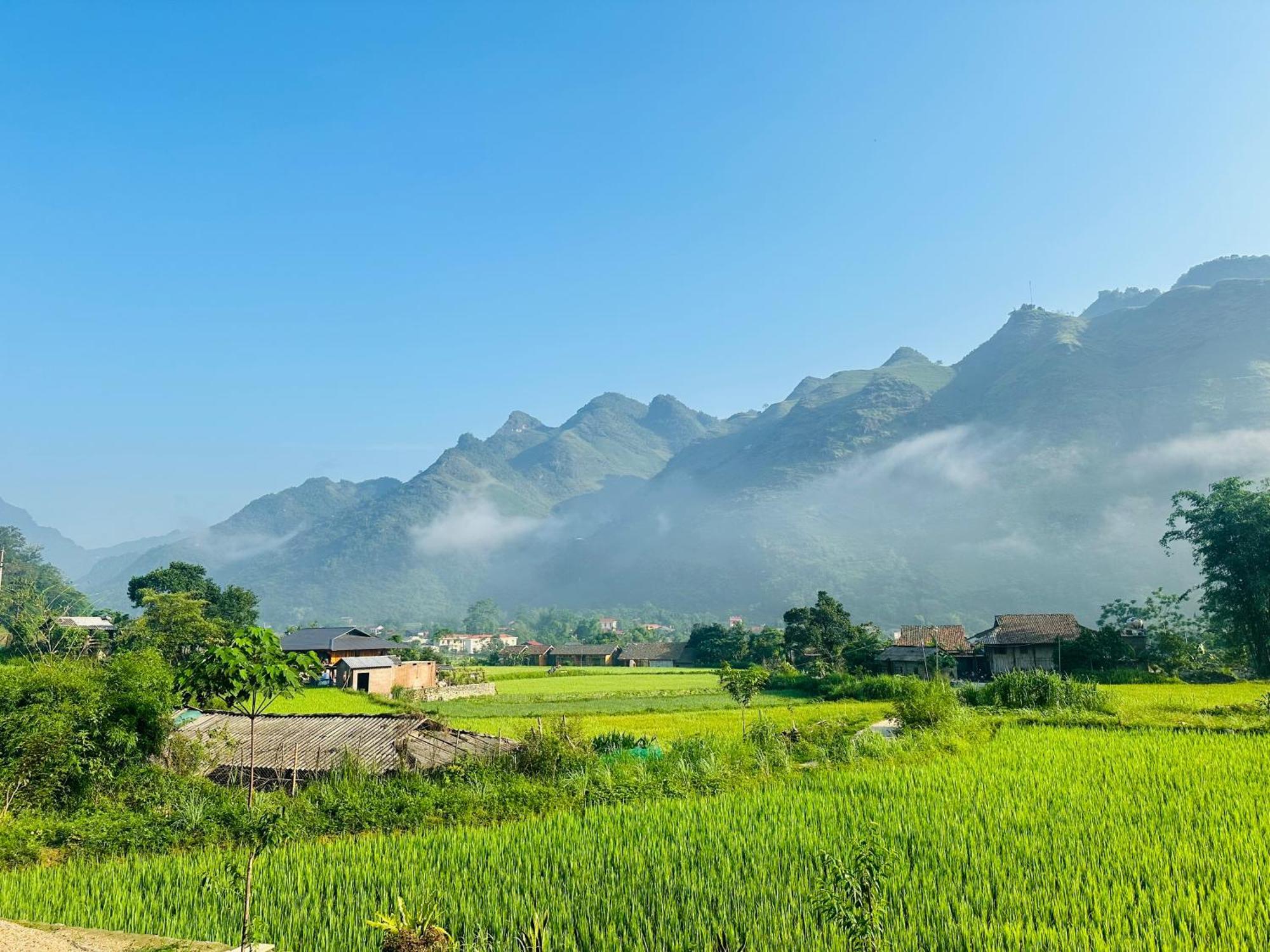 Du Gia Field View Homestay *