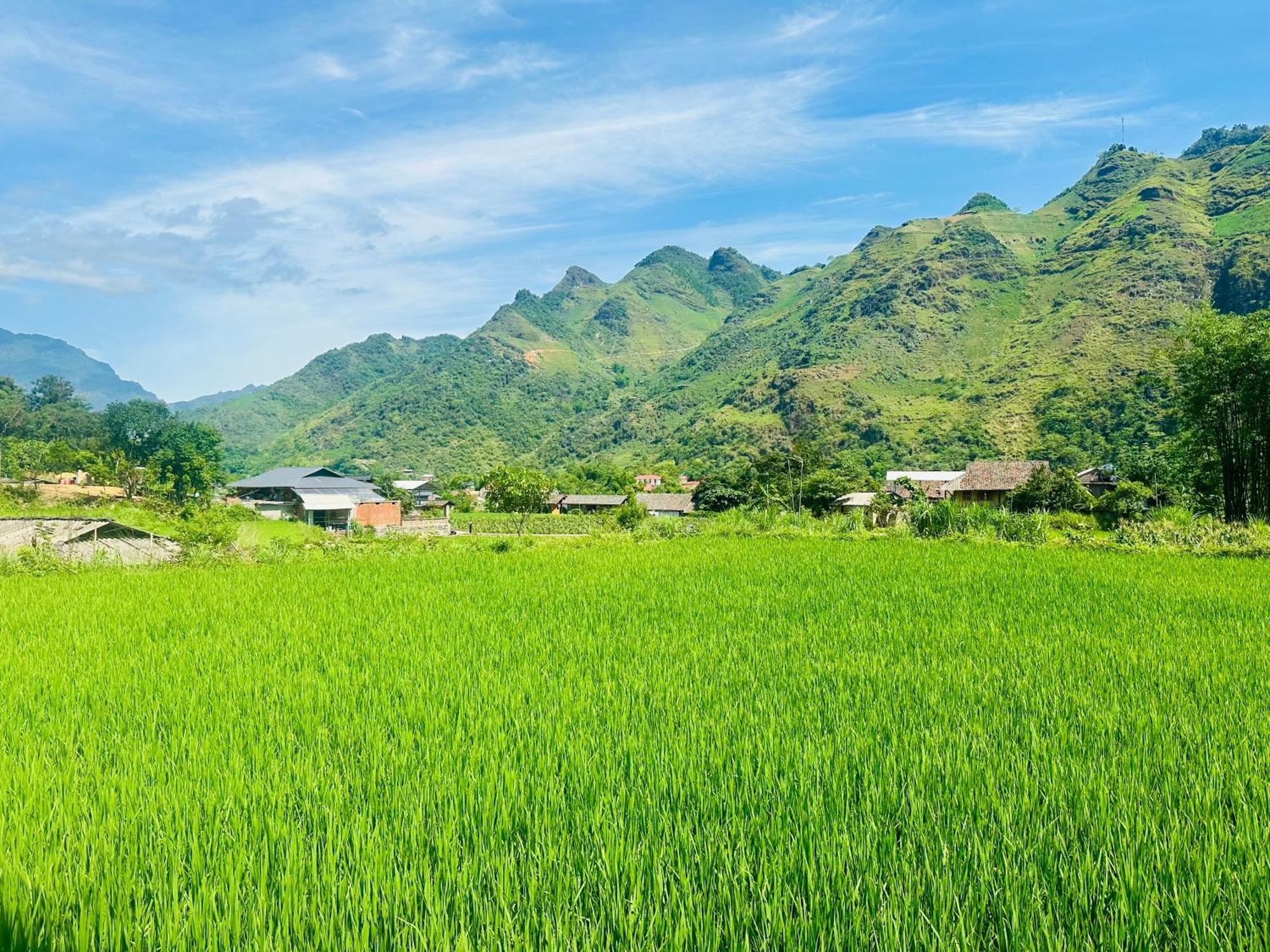 Du Gia Field View Homestay